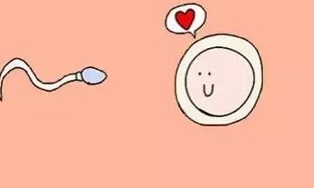 太原清徐县试管婴儿哪家好？