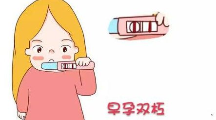 44岁做三代试管婴儿移植促排卵5个能成功几个胚胎？