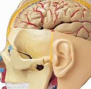 现在去广州做三代试管大概需要多少钱？