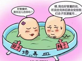 探秘成都助孕生子市场，三家实力机构对比分析