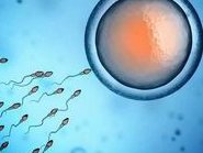 浙江金华三大助孕机构名单公布，附排名前三医院资质介绍