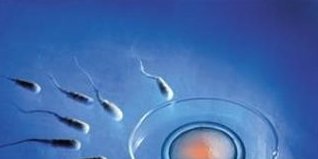 国内哪些医院能做试管助孕？附热门试管助孕医院排名